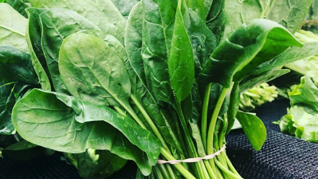 Spinat und Blattgemüse – Low-Carb